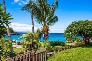 Property grounds - Spend less, enjoy more $195/n (7/1-11/20) B2B is fully Remodeled w/AC (Lahaina)