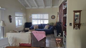 Una Smart TV, una chimenea, libros