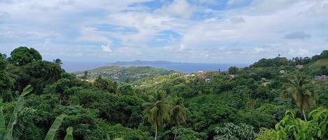 A lush, green landscape with dense vegetation and scattered buildings.