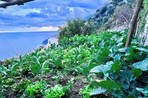 Property grounds - Honeymoon Amalfi •Private Sea View Terrace -Pet Friendly - Stone Bathroom (Amalfi)