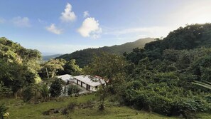 Room, 1 Bedroom, Accessible, Balcony | Exterior - Room-nature, Calm & Connection at Finca (Naguabo)