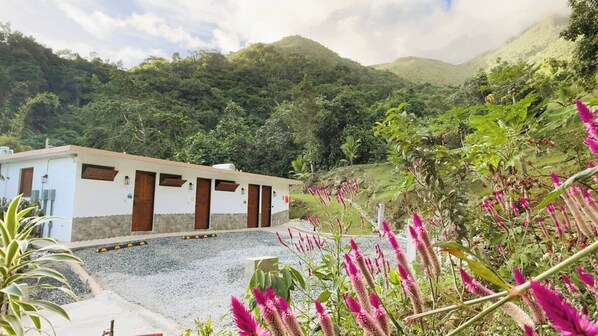 Property grounds - Room-nature, Calm & Connection at Finca (Naguabo)