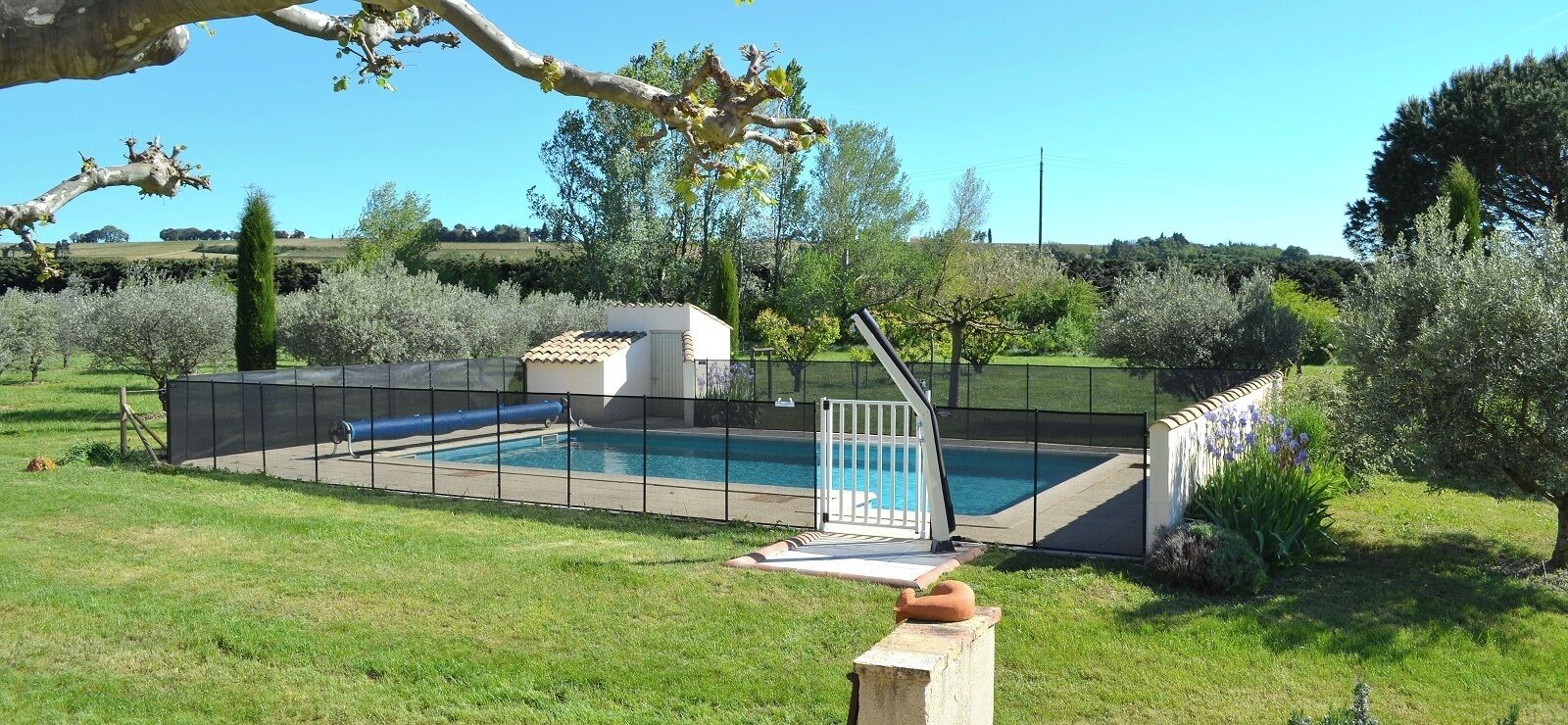 Seasonal outdoor pool, open 9:00 AM to 8:00 PM, sun loungers