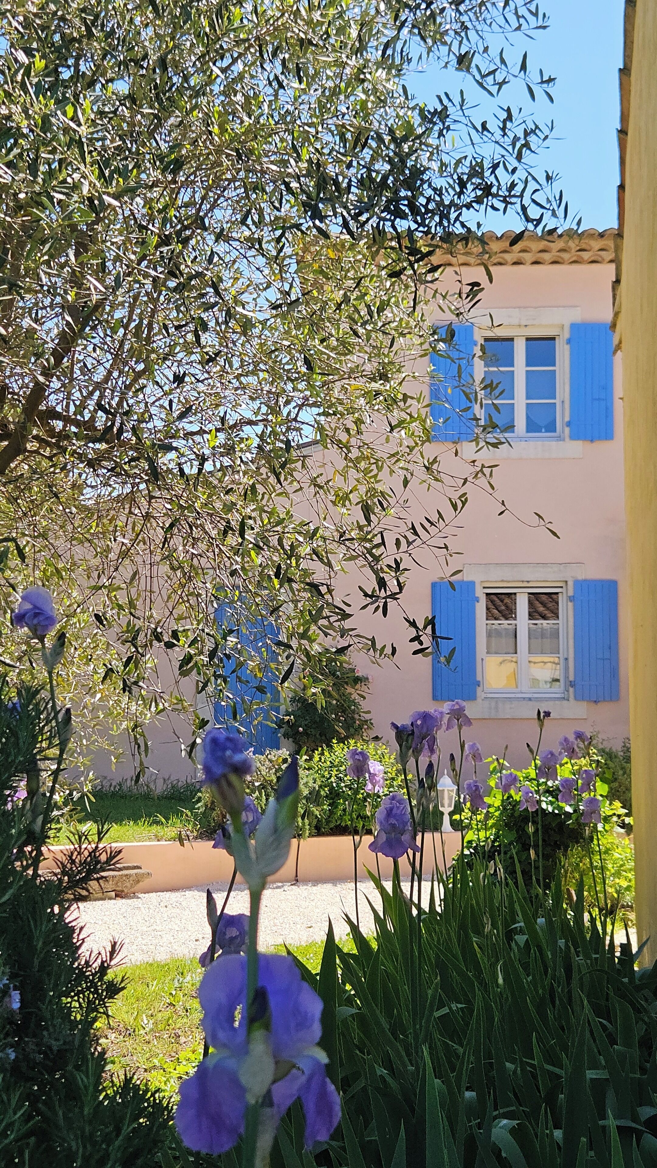 Comfort-Dreibettzimmer, Gartenblick