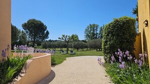 Free WiFi - La Ramade (Tulette)