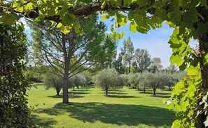 Exterior - Maison d'hôtes La Ramade, 5 chambres et table d'hôtes en Provence (12 pers) (Tulette)