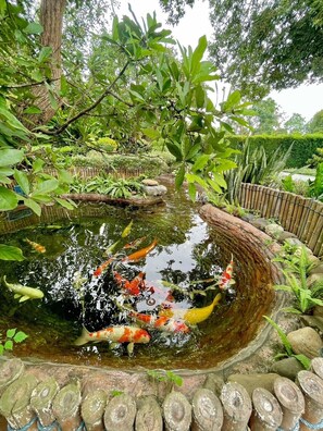 Property grounds - River valley resort (Phu Phiang)