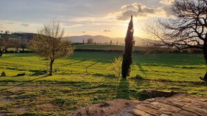 Un sendero de piedra que atraviesa un campo cubierto de hierba, con árboles y una cadena montañosa a lo lejos.