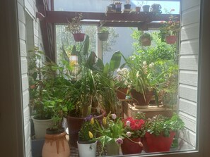 Interior - Le Paradis des Fleurs by Interhome (Agon-Coutainville)