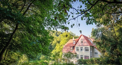 Large, renovated forest villa in Kassel