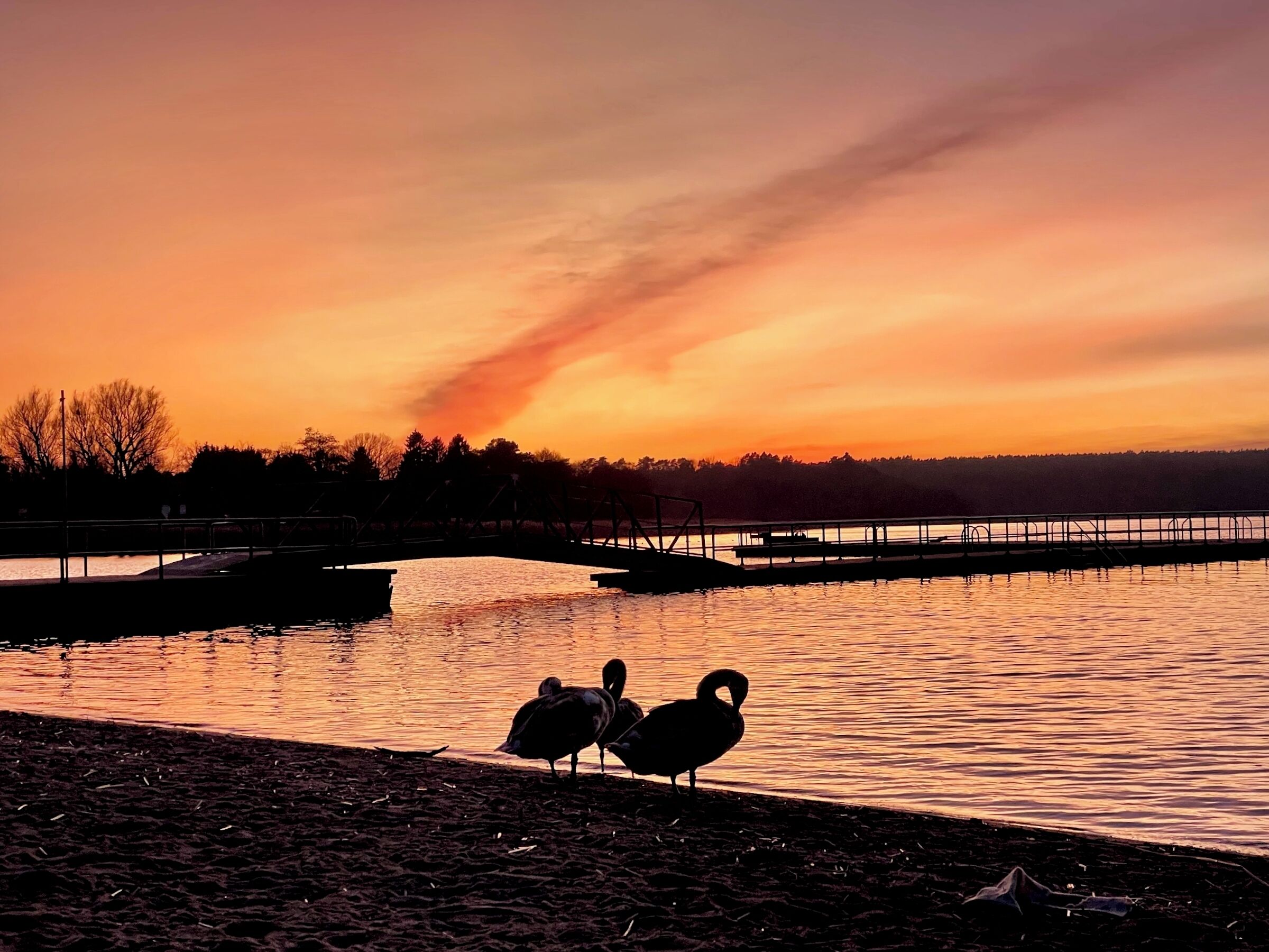 Ein Sonnenuntergang über einem ruhigen See mit einem hölzernen Steg und einer Brücke.