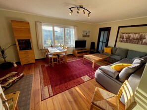 Smart TV, fireplace, DVD player, books