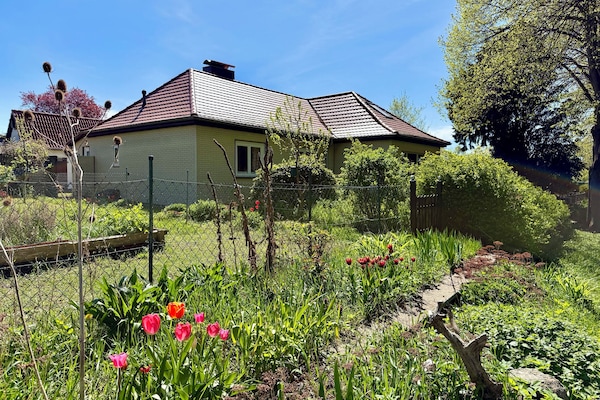 Das Haus mitten im Grünen