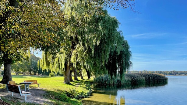 A serene lakeside park with benches and trees.