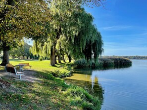 Un parc paisible au bord du lac, avec des bancs et des arbres.