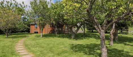 A garden area with a wooden fence, a brick building, and a clear sky.