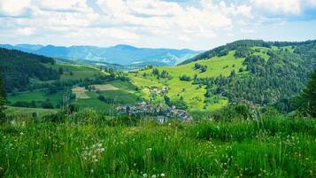 Paesaggio rurale con dolci colline, un piccolo villaggio e cielo sereno.