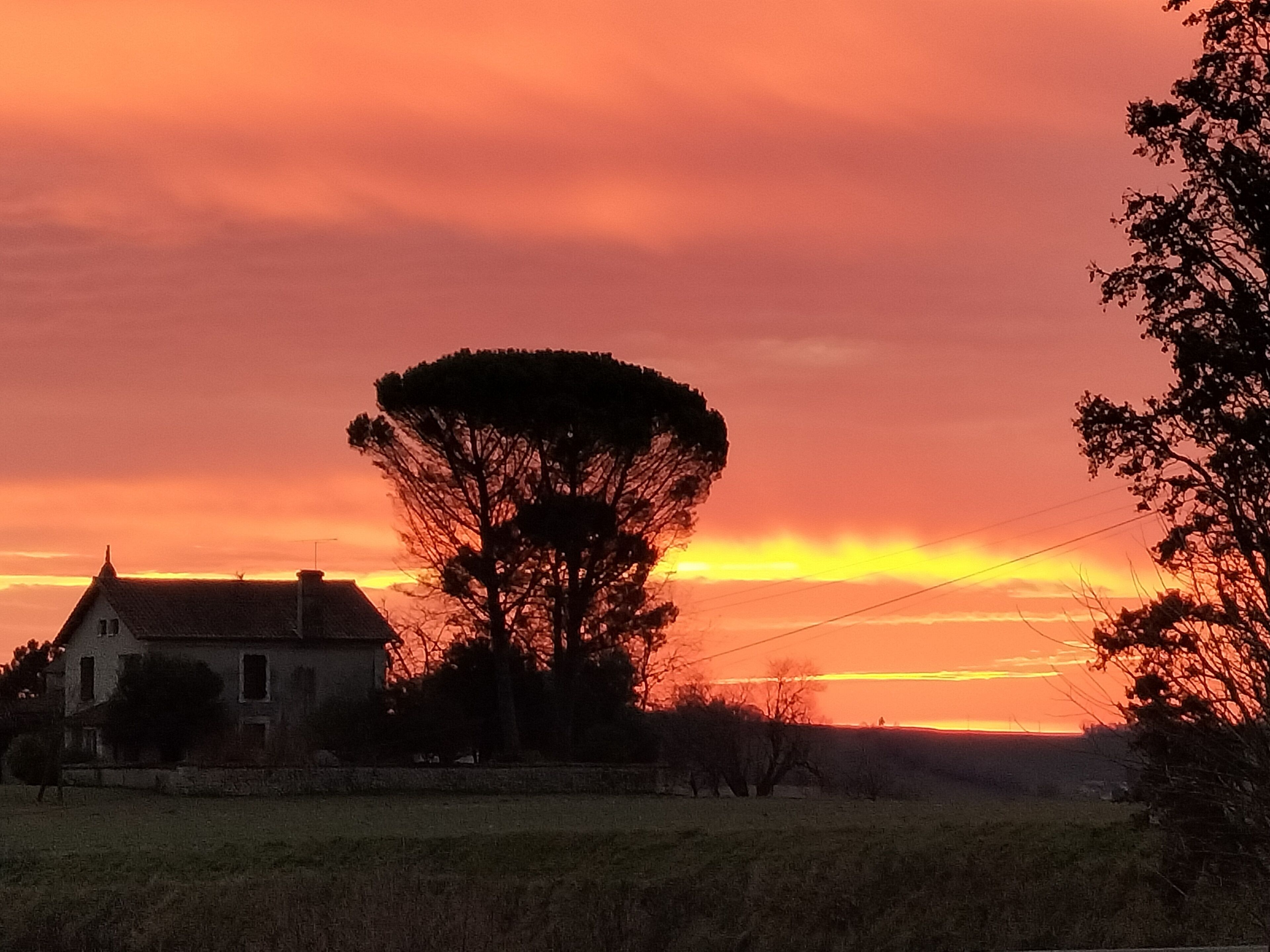 Una casa de campo con un gran árbol frente a ella, rodeada de campos abiertos.