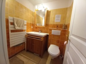 Dusche, Haartrockner, Handtücher, Toilettenpapier