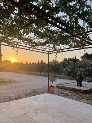 Property grounds - Large country house near Mont Ventoux (Carpentras)