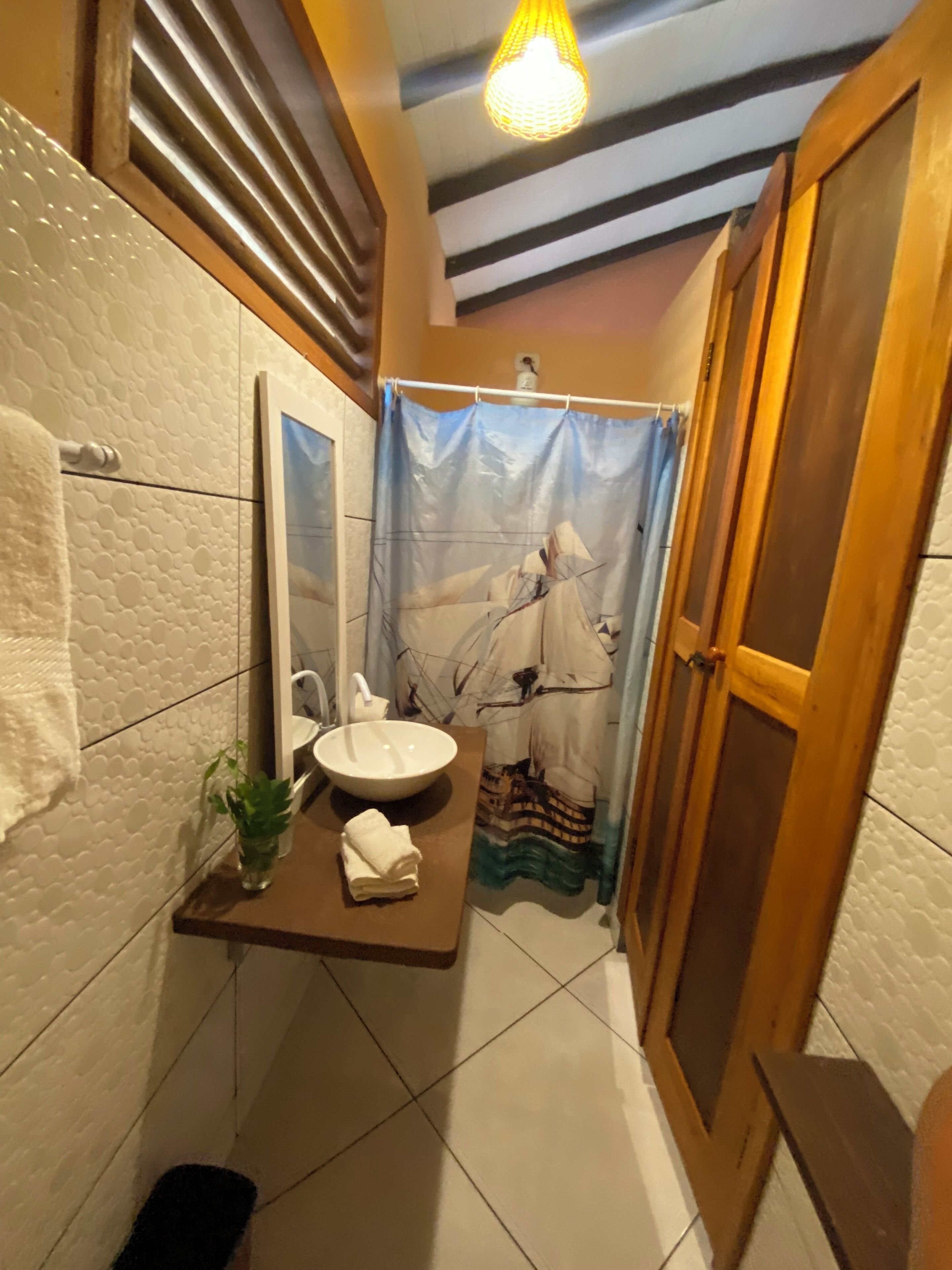 Habitación clásica doble, vistas al jardín | Baño | Toallas, jabón y papel higiénico