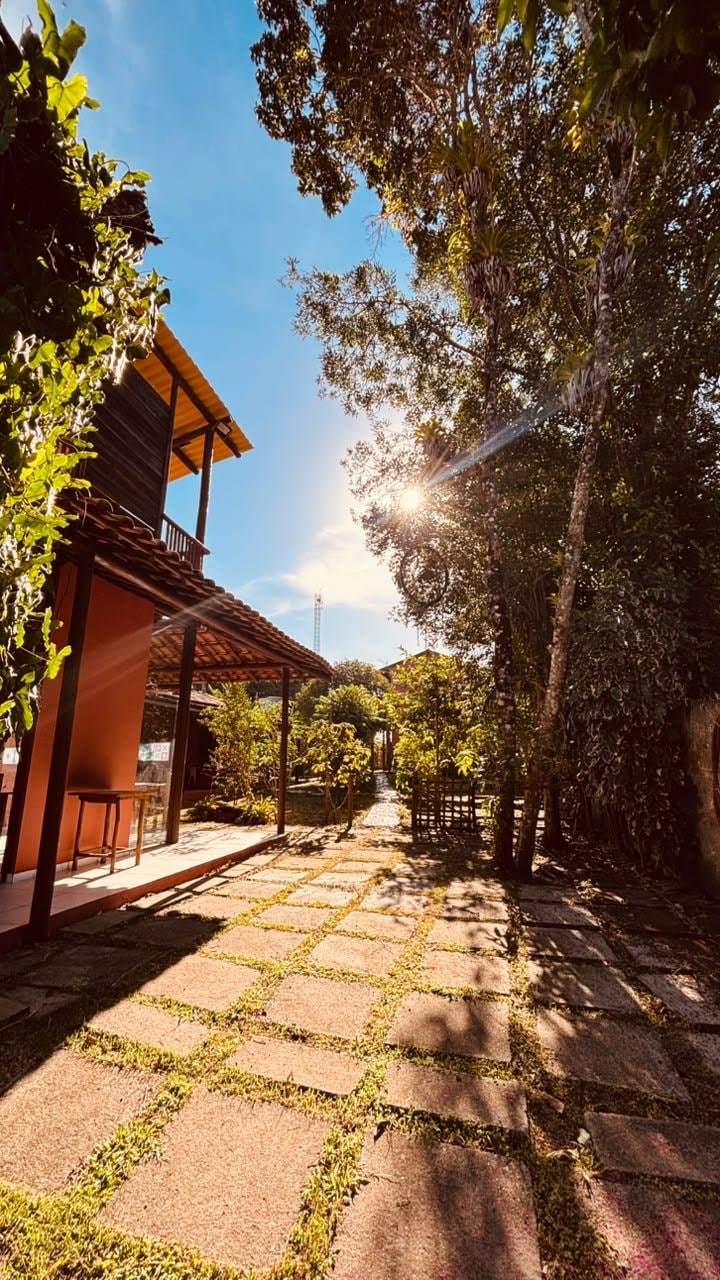 A courtyard with a pergola, stone pathway, and lush greenery.