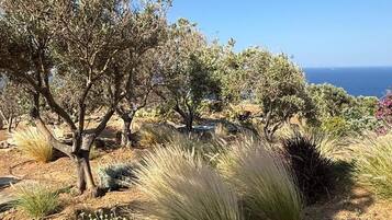 Vila | 6 kamar tidur