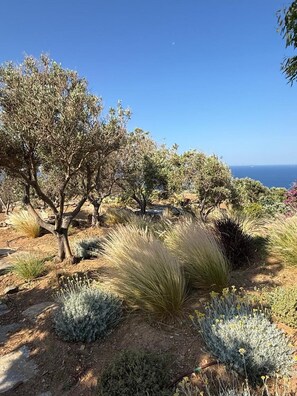 Villa | 6 bedrooms - Kea Infinity View Villa (Kea)