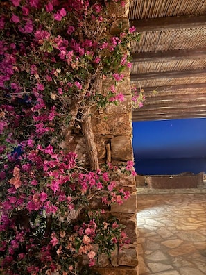 Villa | 6 bedrooms - Kea Infinity View Villa (Kea)