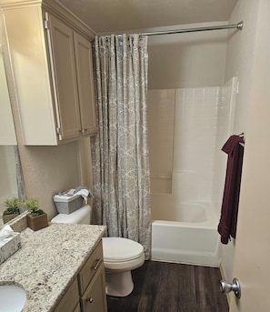 Hair dryer, towels, soap, toilet paper