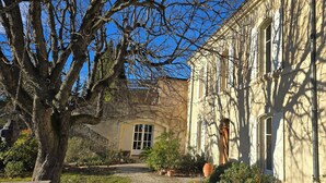 Un bâtiment historique doté d’une cour, d’un grand arbre et d’un petit jardin.