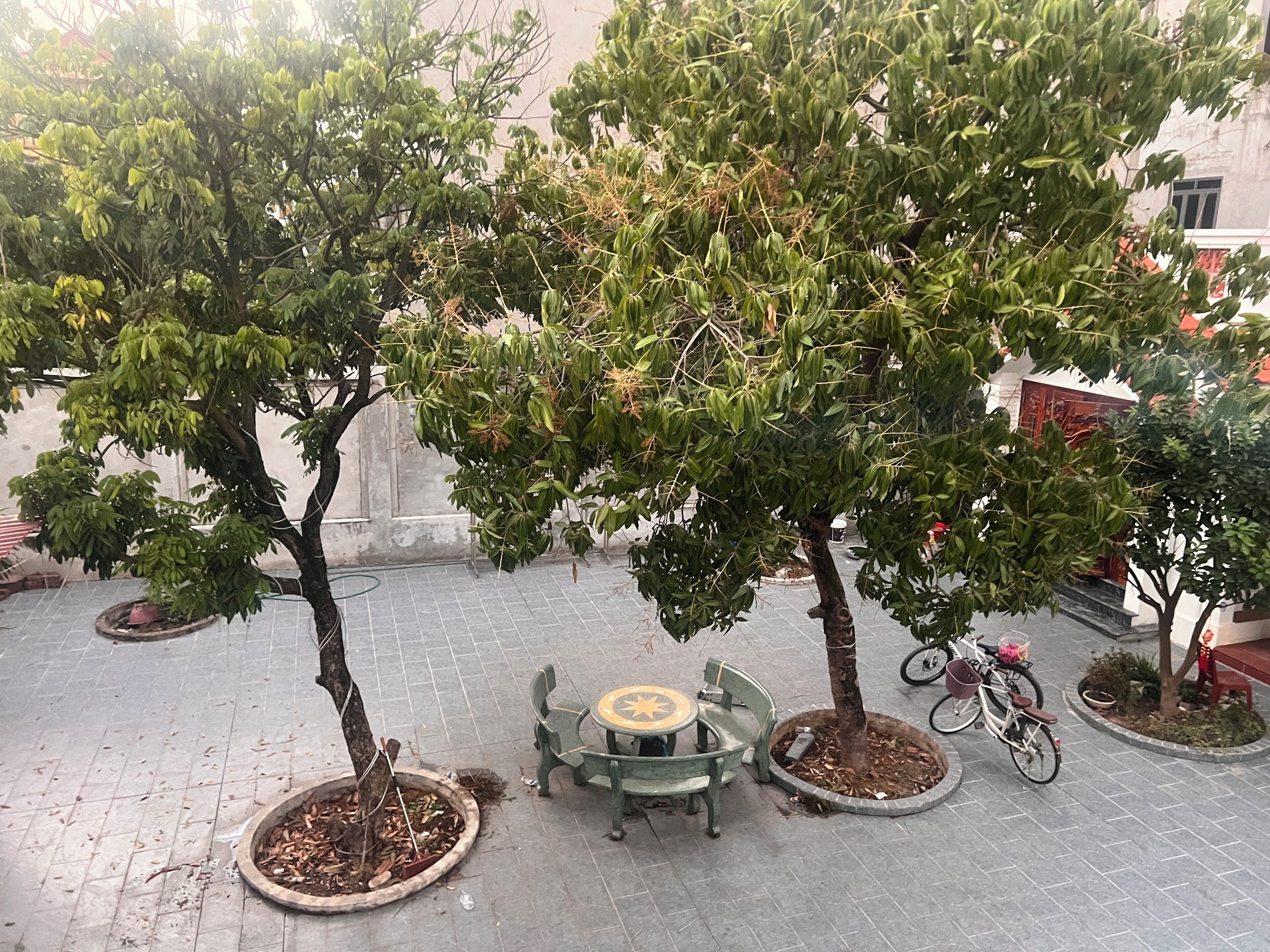 A courtyard with trees, a round table, and chairs, surrounded by a tiled floor.