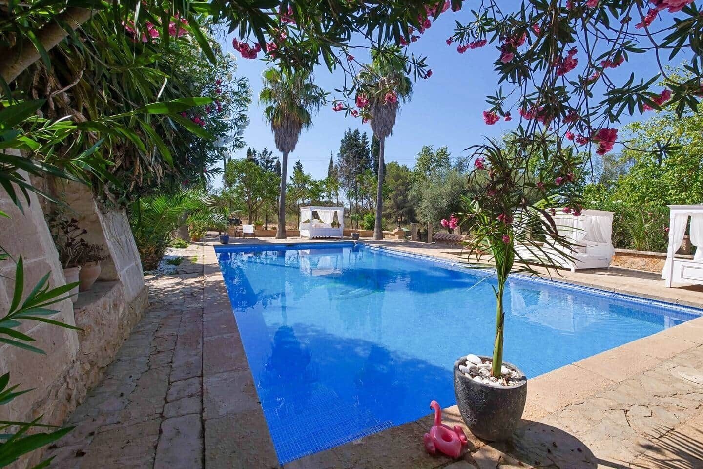 Una piscina rectangular con superficie azul cristalina, rodeada de muros de piedra y plantas en macetas.