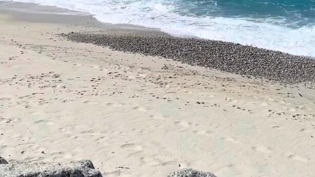 A beach with clear turquoise waters, a pebbly shore, and a distant mountain range under a partly cloudy sky. - Comfortable house with terrace a stone's throw from the sea in mild climate location (Villapiana Lido)