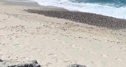 Comfortable house with terrace a stone's throw from the sea in mild climate location