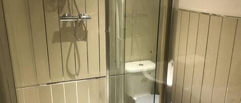 A glass-enclosed shower stall with a white toilet and a small shelf with toiletries.