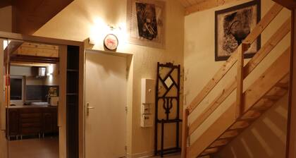 appartement style chalet, a 5 minute des piste de ski