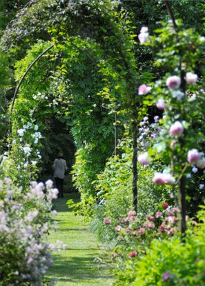Tuin