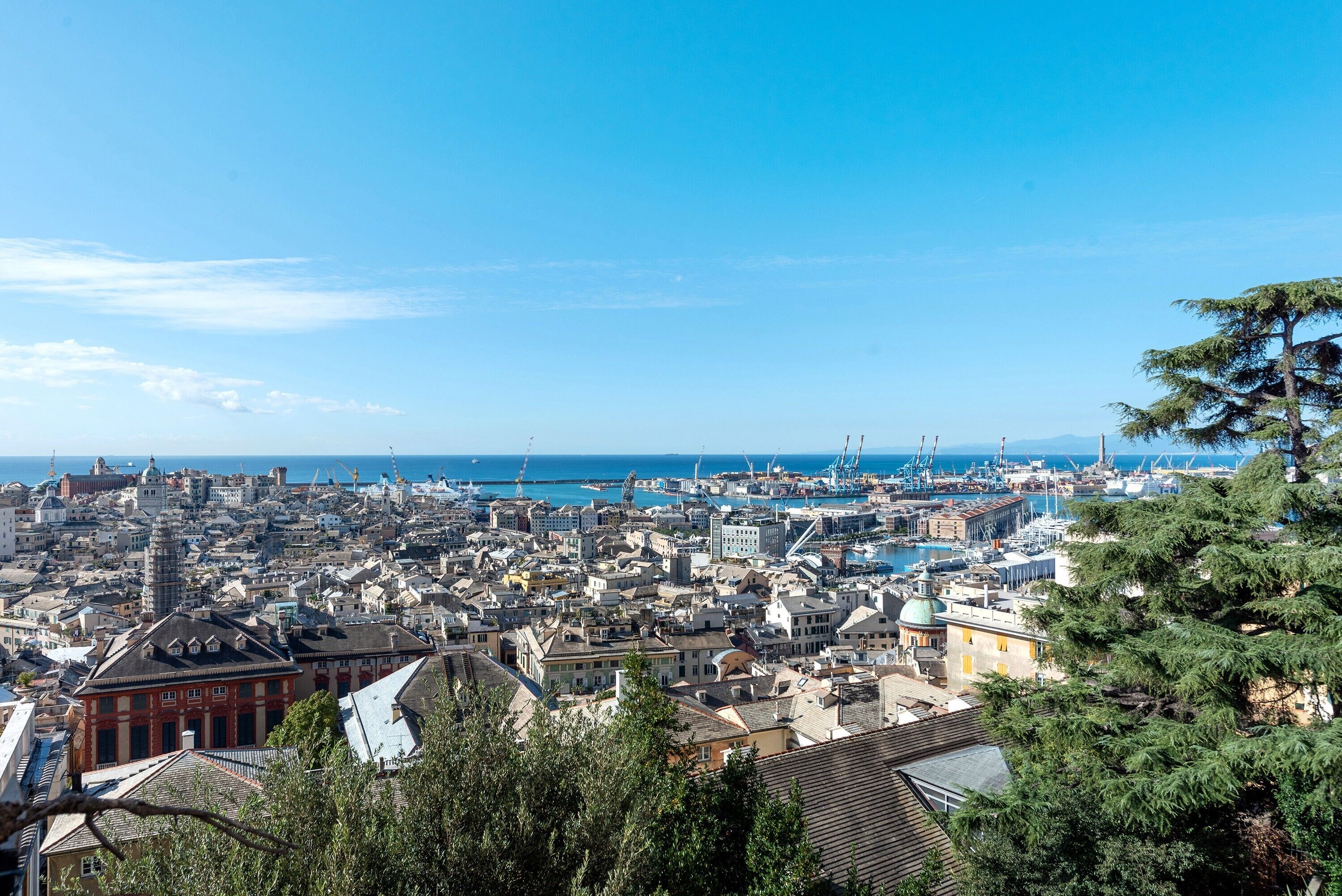 A coastal cityscape with dense urban buildings, a harbor with boats, and a clear blue sky.
