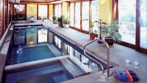 Ein Schwimmbad mit Glasveranda, ein heller Innenraum mit großen Fenstern und ein paar Kübelpflanzen.