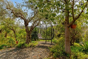 Property grounds - Cubo's Violeta Rural House Private pool / BBQ / Air conditioning / Free Wi-Fi (Coín)