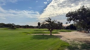 Un campo de golf con un green bien cuidado, un búnker de arena y un árbol en el centro.