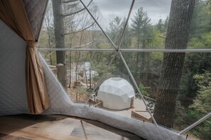 Interior - Glamp Blue Ridge - Dome 1 Betty (Cherry Log)