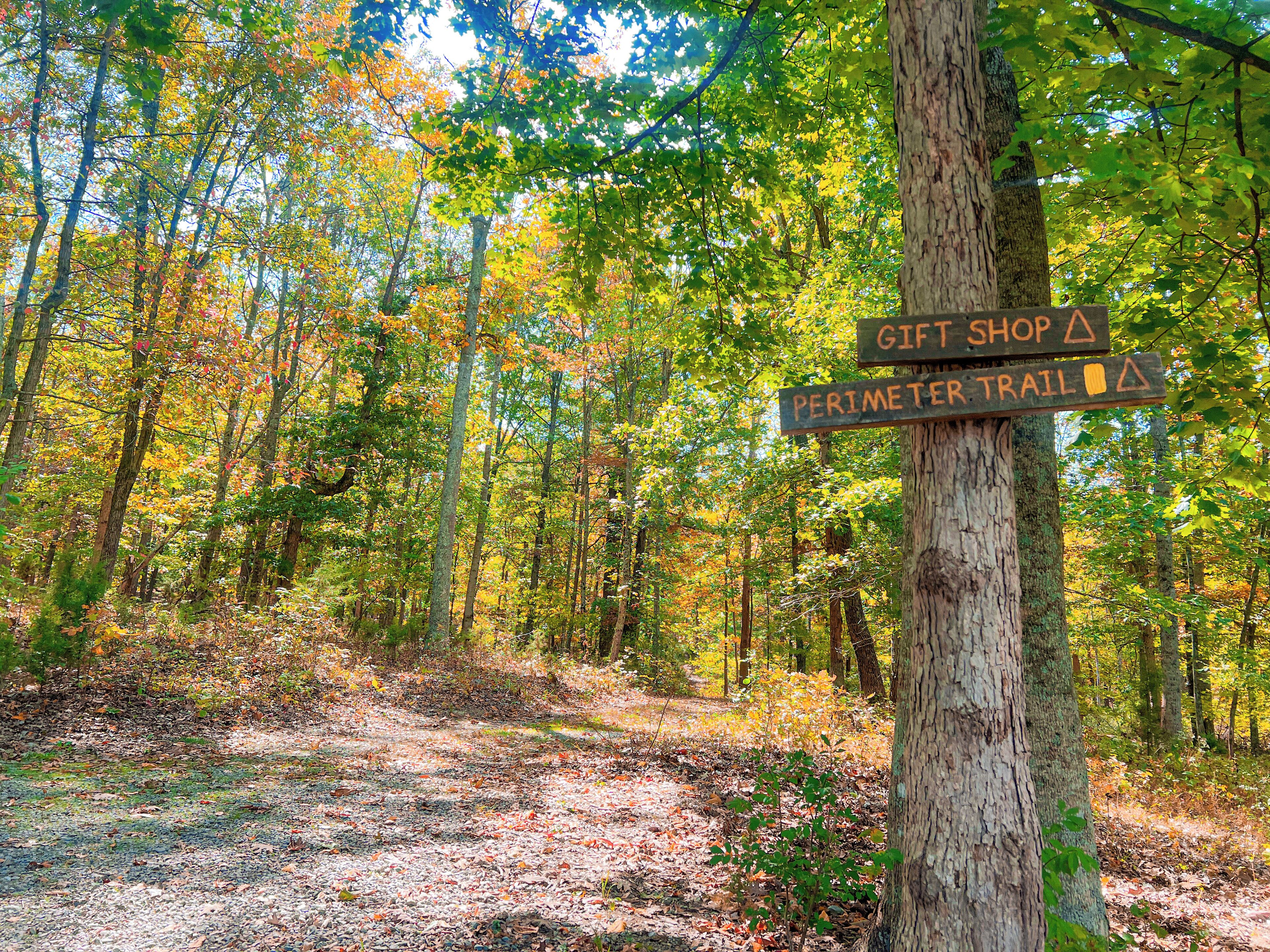 A forest trail with signs for a gift shop and the perimeter trail.