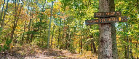 Un sendero en el bosque con indicaciones para una tienda de regalos y el circuito perimetral.