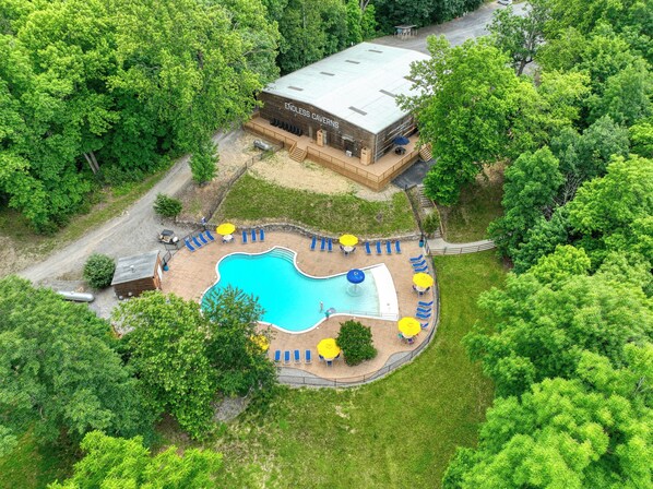 A pool area with lounge chairs and umbrellas, surrounded by lush greenery. - Endless Caverns RV Resort & Cavern Tours (New Market)