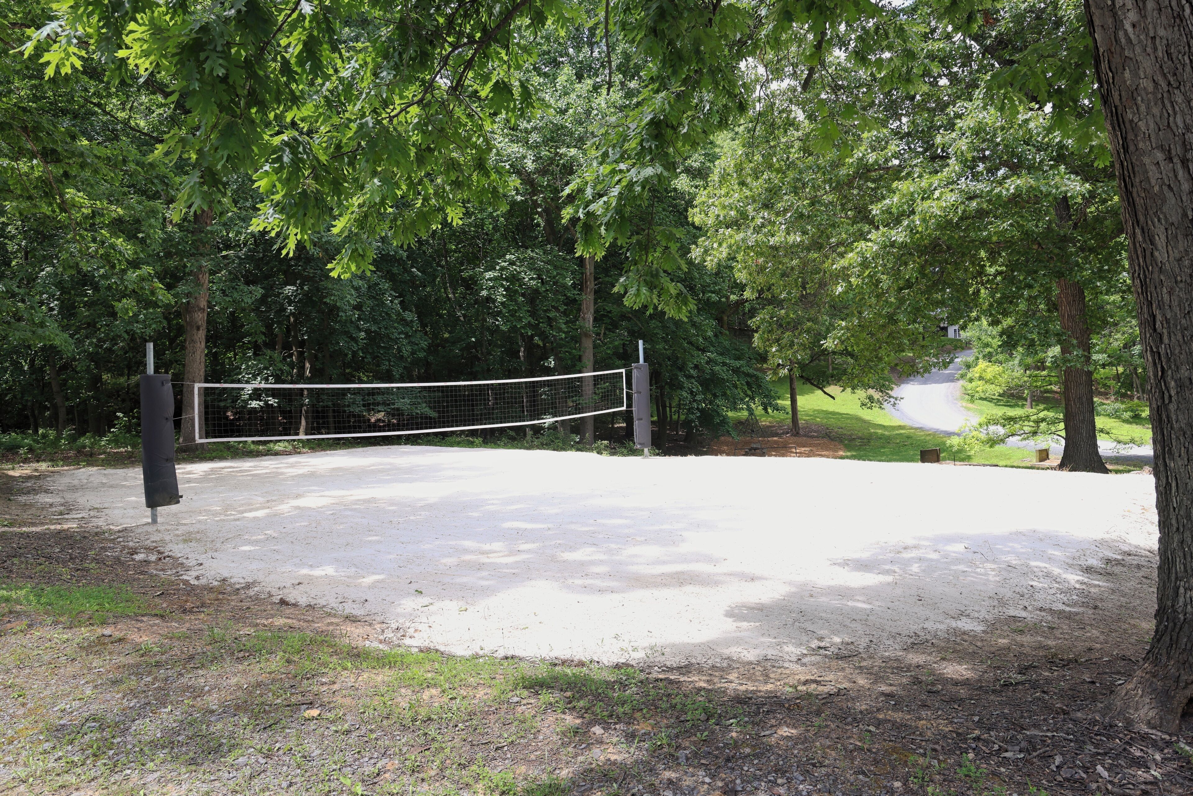 Ein Volleyballnetz in einer bewaldeten Gegend mit Bäumen und einem Feldweg.