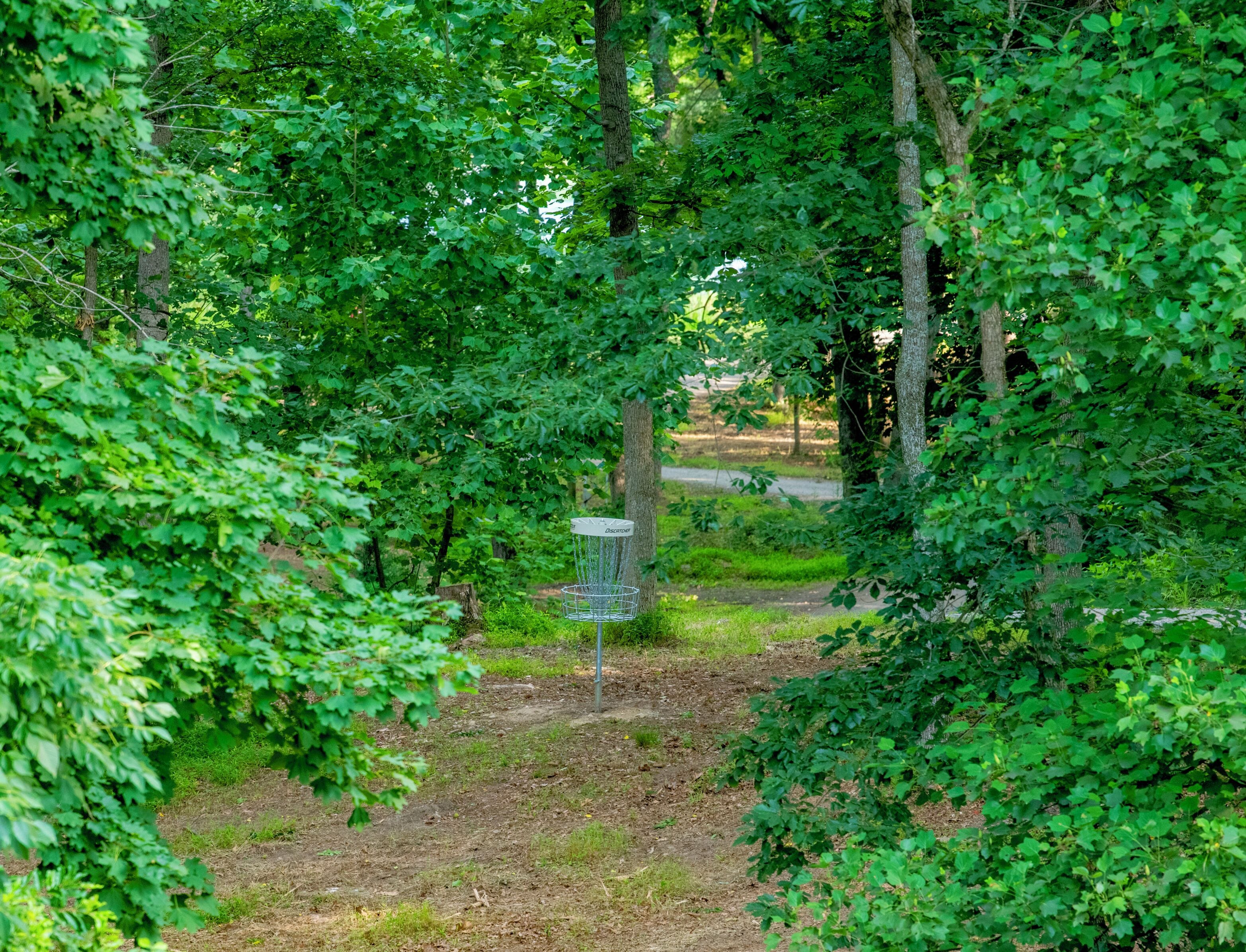 Zona boscosa con un cesto de disc golf de metal.