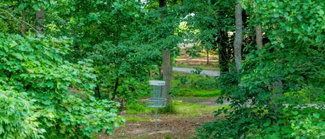 Zona boscosa con un cesto de disc golf de metal.
