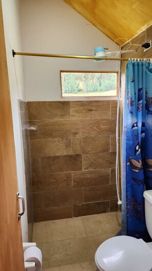 Regadera, toallas, jabón, papel de baño 